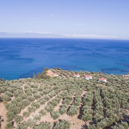 הוילה Koróni Κτήμα Παπαβασιλόπουλος 2 - מראה חיצוני תמונה